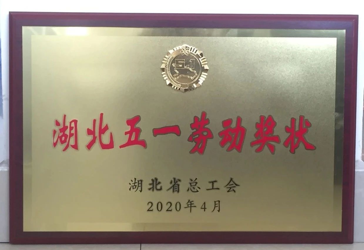 喜讯||乐投在线重工又获省级殊荣