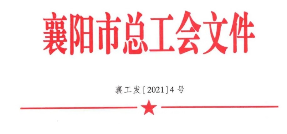 襄阳乐投在线职业培训学校有限公司正式成立